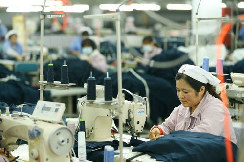 山东即墨 村头工厂助力就业，打造社会经济咨询新引擎